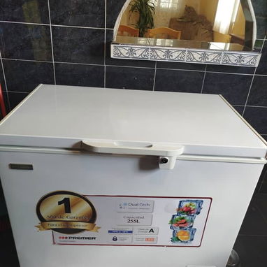Freezer 255L,9 pies Premier 52961256 - Img 122931730
