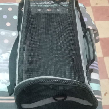 Huacal para perros pequeños y gatos - 3/3