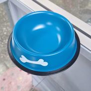 Plato para perros - Img 58287803