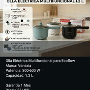 Olla eléctrica multifuncional para ecoflow 1.2L, laisla 💯 - Img 57936070