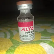 Vacuna contra el Parvovirus Canino - Img 57492352