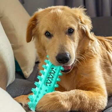 Juguete Dental  Rellenable para Perros - 3/4