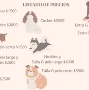 Peluquería Estética Canina - Img 49902571