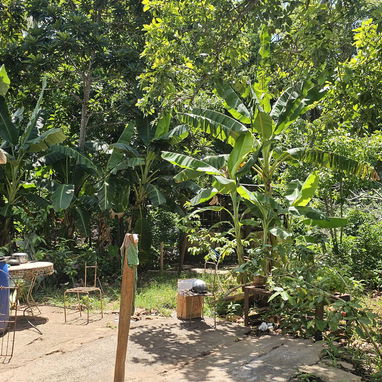 En venta finca en jovellanos con casa de mampostería - Img 124509220