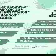 Servicios de realización de proyectos universitarios y trabajos escolares - Img 48958352