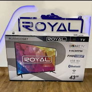 TV(Royal) - Img 56335106