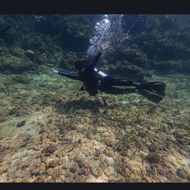 Experiencias y cursos de buceo - 3/3