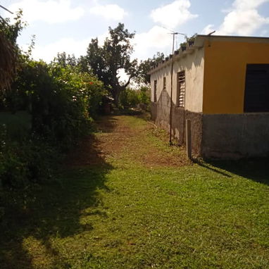 Se vende casa en vereda nueva municipio caimito provincia Artemisa - Img 125354501