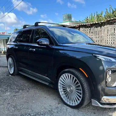 Renta de Hyundai Palisade 2020 - Img 118341114