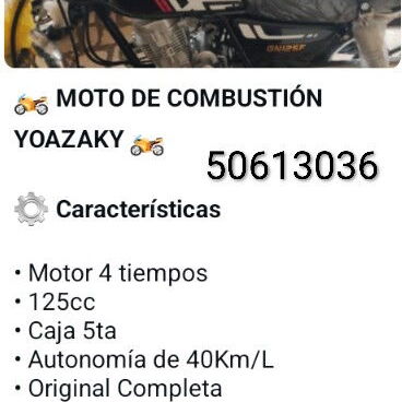 Moto de Combustión Yoazaky - 2/2