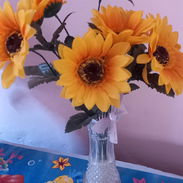 Venta de bucaro - Img 57070347