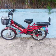 Moto - Img 57725742