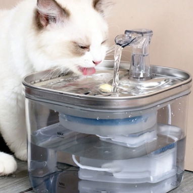 Fuente de agua para gatos (Bebederos para gatos) - Img 125883749