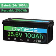 Batería Dyness LiFePO4 24V 100Ah 2560Wh 2.56kWh - Img 57878951