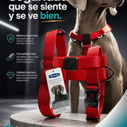 Pechera roja para perros de hasta 40kg - Img 56159541