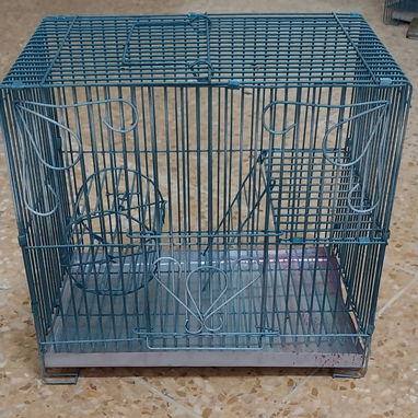 Variedad de hamster( pequeños y grandes). Jaulas. Pienso. Comederos. Ruedas - Img 117571070