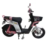 BICIMOTO TOPMAQ EVOLUTION 2026 : 1900 USD - Img 56538333