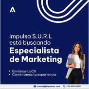SE BUSCA ESPECIALISTA DE MARKETING - Img 56463768