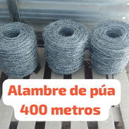 Acero - Img 56642985