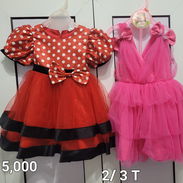 Batas y ropa niña 2 ó 3 años - Img 54882059