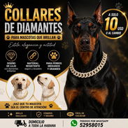 Collar de diamantes - Img 57486225