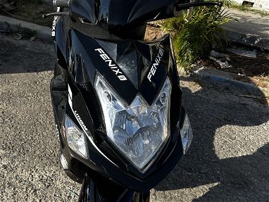 Vendo moto FENIX - Img main-image-45691508