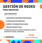 Gestión de redes sociales para negocios, Promoción y Marketing. Servicio de Community Manager y Creación de Contenido - Img 46057307