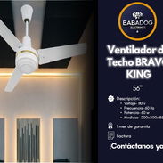 Ventilador de techo Bravo king - Img 55739743