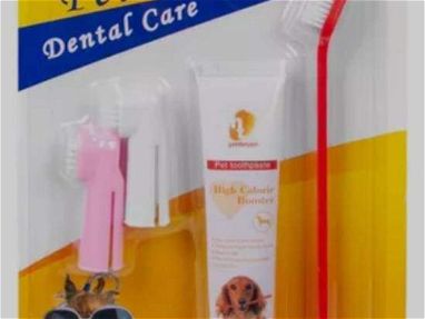 Kit dental para nuestras mascotas - Img main-image