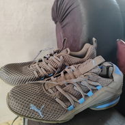 Título: Tenis Puma, Nike, Reebok y Slip-On - Img 58154466