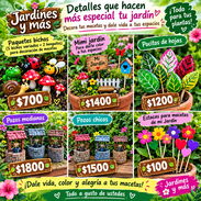Detalles para tu pequeño jardin - Img 58019957