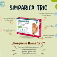 Simparica TRIO - Img 52994587