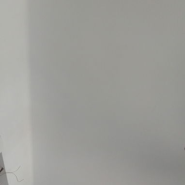 Albañil profesional y pintor. - 6/10