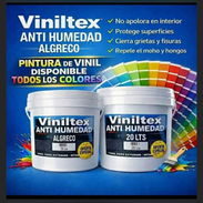 PINTURA VINIL ANTIUMEDAD PARA INTERIOR Y EXTERIOR. - Img 57890231