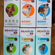Bravecto - Img 57114777