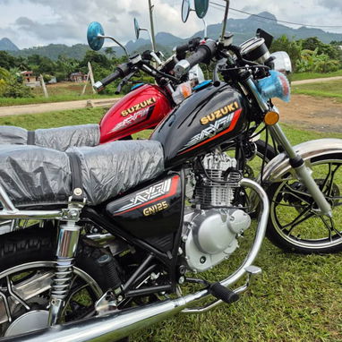 🏍 Moto de Combustión GN 125cc GS🏍* - 2/4
