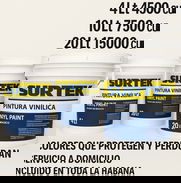 OFERTA DE PINTURA VINILICA SURTEK !! servicio a domicilio incluido en toda la habana !! - Img 49450523