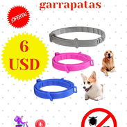 Collar anti pulgas y garrapatas - Img 55606054