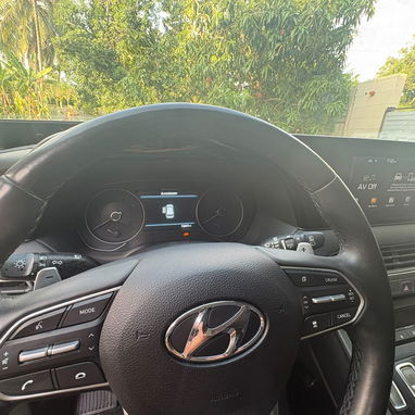 HYUNDAI PALISADE 2020 - Img 125159980