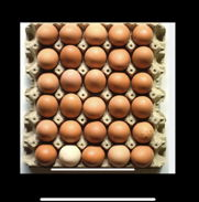 Oferta huevos - Img 46075956