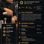 Bartender profesional - Img 57080206