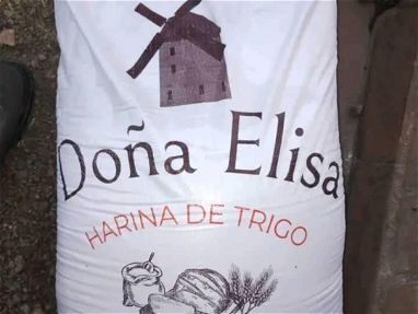 Harina de trigo  Sacos de 25kg   1000 sacos   32.5 usd - Img main-image-45686239