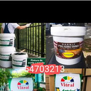 Ofertas de pintura 54703213 - Img 56347821