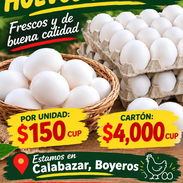 🥚 ¡VENTA DE HUEVOS BLANCOS! 🥚 - Img 57718852