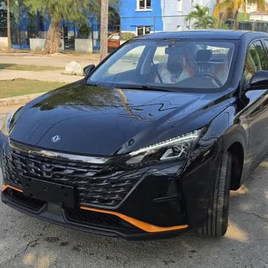 EN VENTA DONGFENG AELOUS SHINE NUEVO - Img 121266348