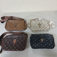 Carteras - Img 56247179