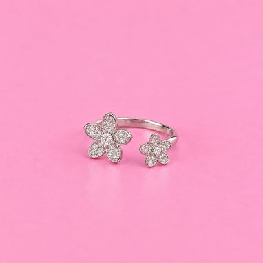 Anillos plateados - 2/5