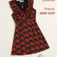 Ropa - Img 57810532