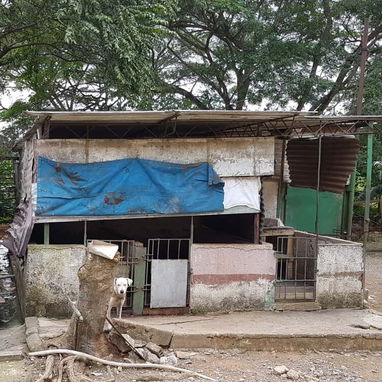 Se vende finca cerca de las terrazas - 10/10