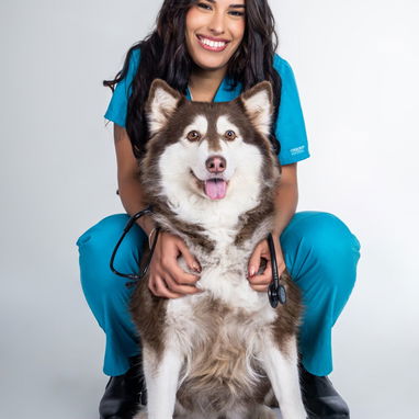 Husky siberiano del club - Img 124633048